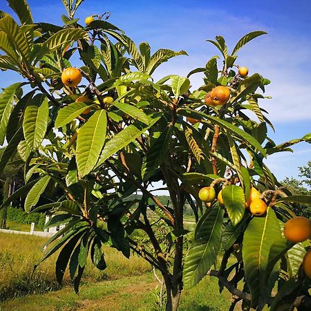 Masseria Le Querciole Fauglia Εξωτερικό φωτογραφία