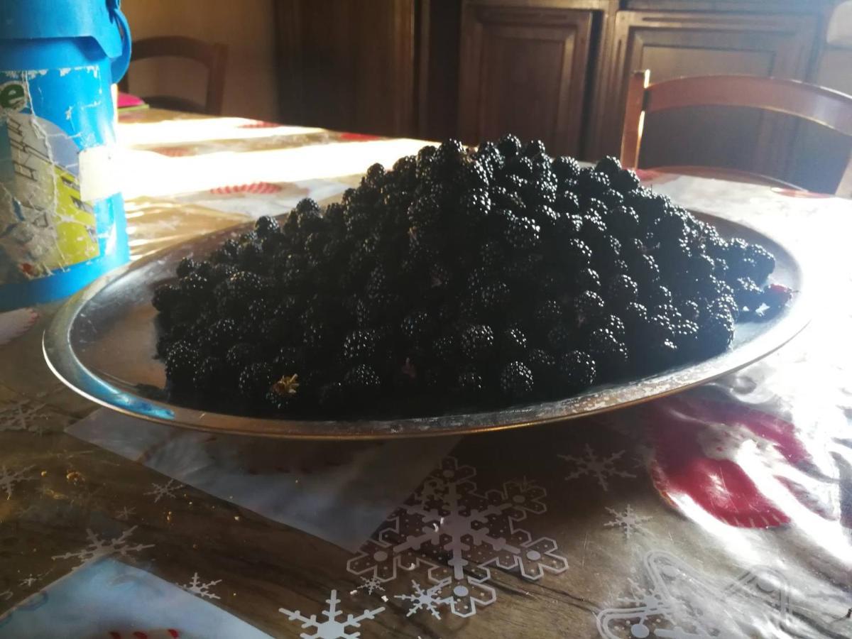 Masseria Le Querciole Fauglia Εξωτερικό φωτογραφία