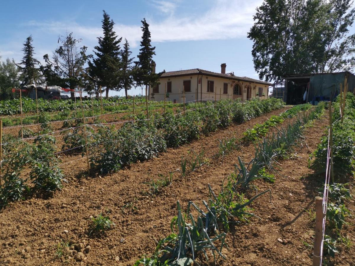 Masseria Le Querciole Fauglia Εξωτερικό φωτογραφία