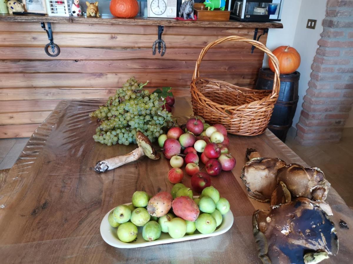 Masseria Le Querciole Fauglia Εξωτερικό φωτογραφία