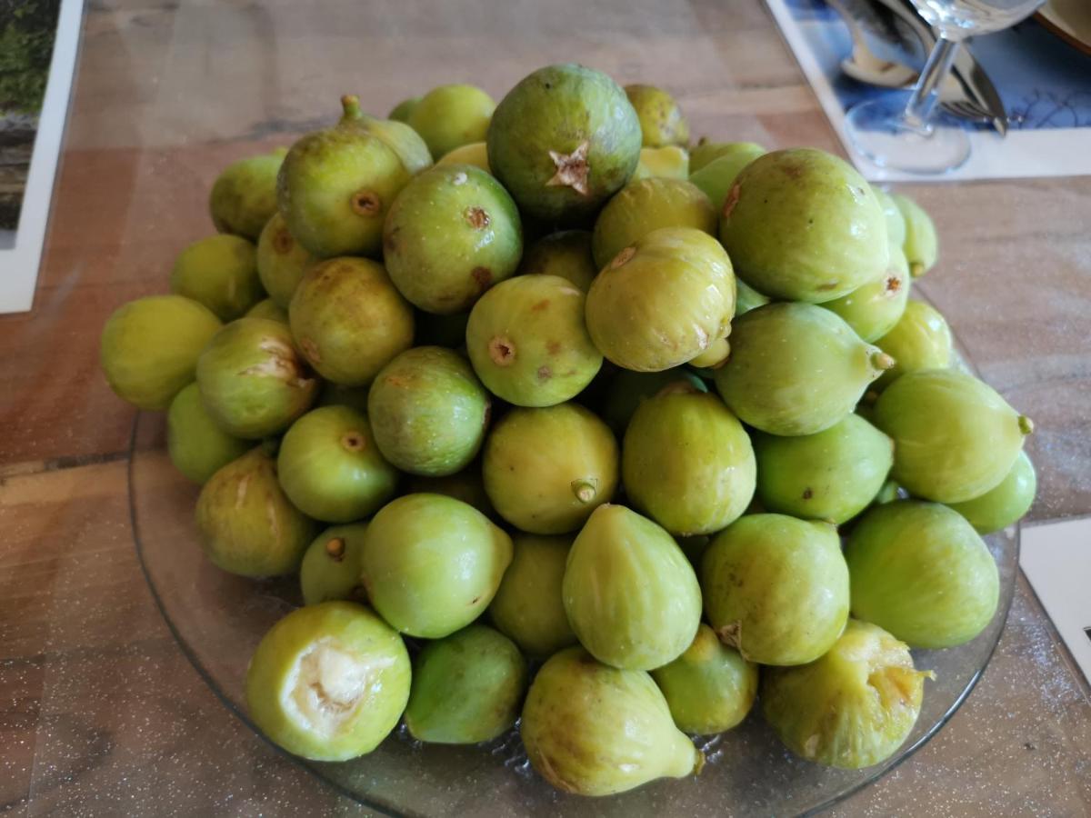 Masseria Le Querciole Fauglia Εξωτερικό φωτογραφία
